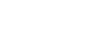 ND Professional Services